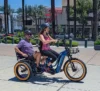 Greattan L Passenger eTrike