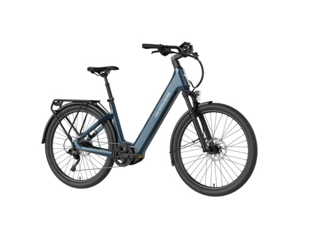 Best Electric Bike for Seniors