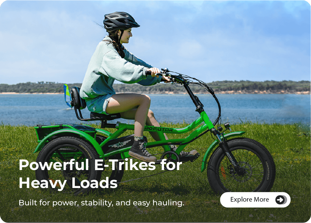 addmotor e trikes at futureev e bike