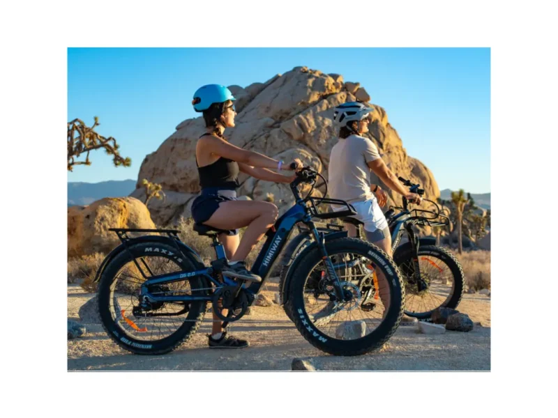 Himiway D5 2.0 ST eBike