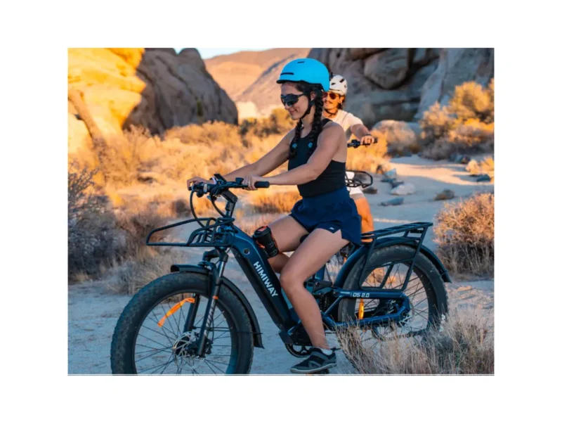 Himiway D5 2.0 ST eBike
