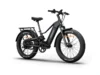 Himiway D5 2.0 eBike