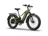 Himiway D5 2.0 eBike