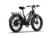 Himiway D5 2.0 eBike