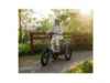 Velotric Triker Electric Tricycle