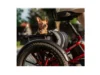 Velotric Triker Electric Tricycle