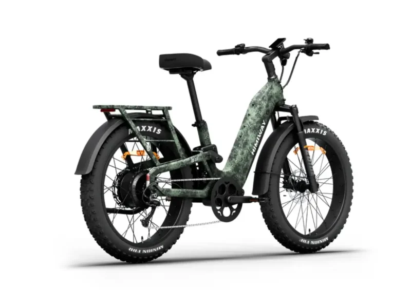 Himiway D5 2.0 Camo eBike