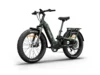 Himiway D5 2.0 Camo eBike
