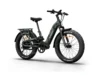 Himiway D5 2.0 Camo eBike