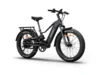 Himiway D5 2.0 eBike