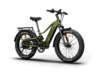 Himiway D5 2.0 eBike