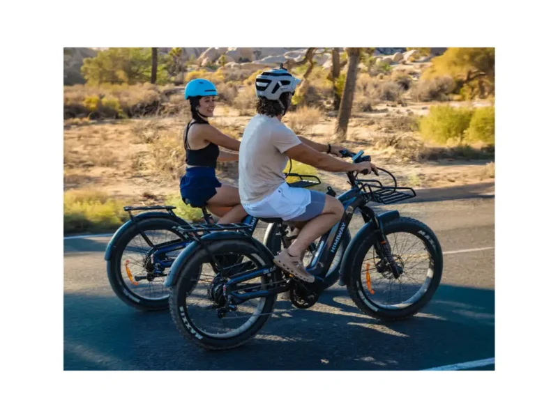 Himiway D5 2.0 eBike