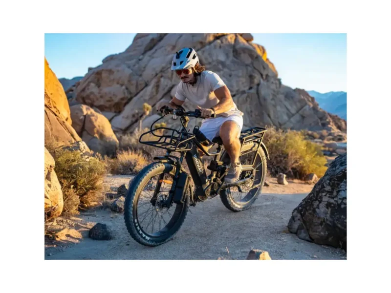 Himiway D5 2.0 eBike