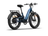 Himiway D5 2.0 ST eBike