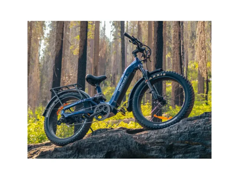 Himiway D5 2.0 ST eBike