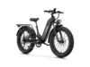 Aipas® M1 Pro Xterrain ST Ebike