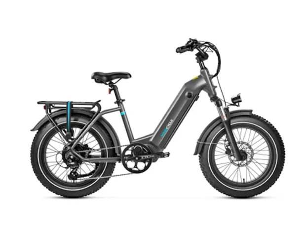 Love in Step-Thru eBikes