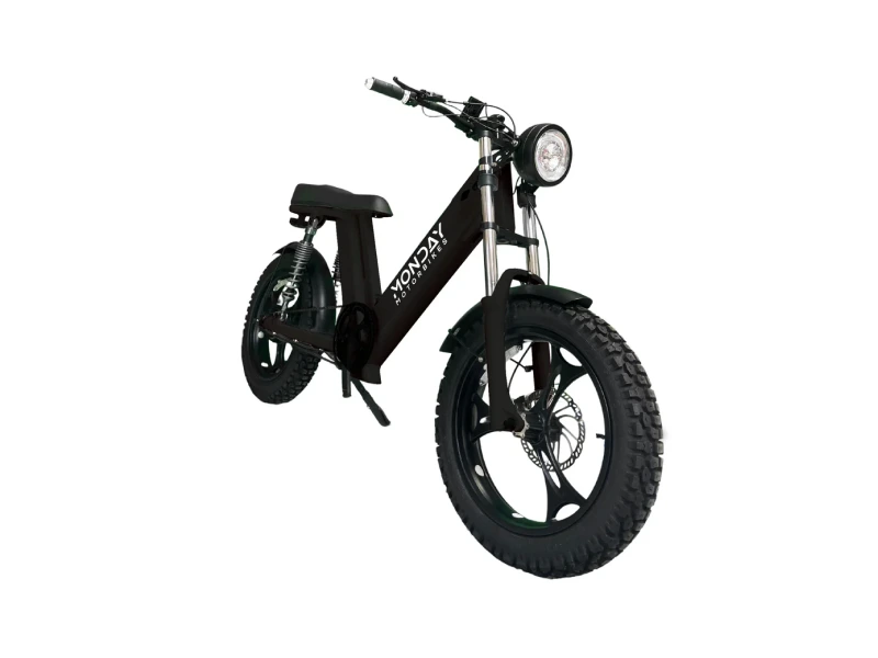 Gateway 750W Electric Bike