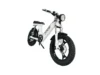 Gateway 750W Electric Bike