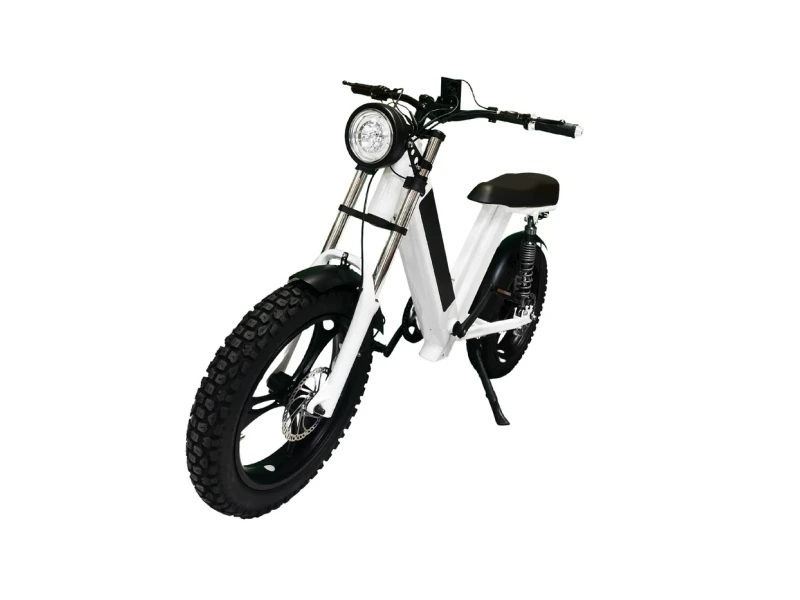 Gateway 750W Electric Bike