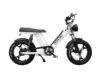 Gateway 750W Electric Bike