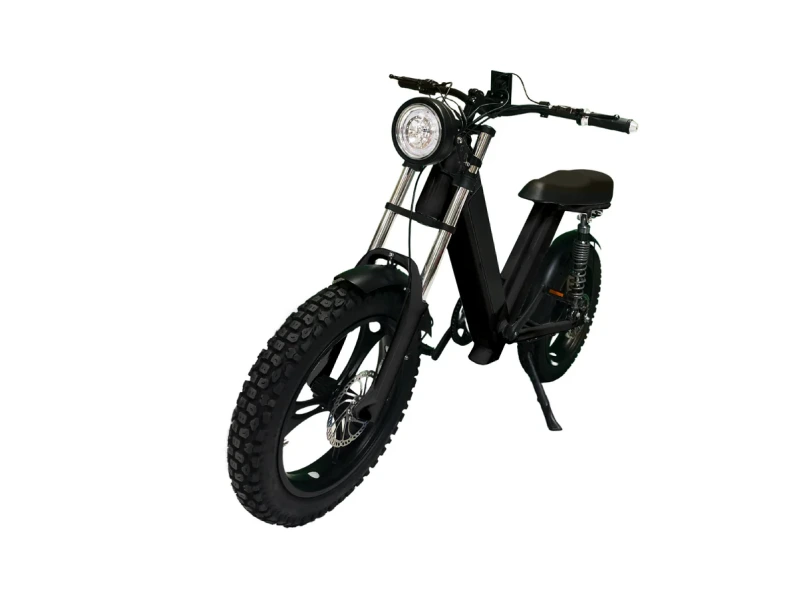 Gateway 750W Electric Bike