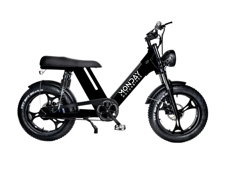 Gateway 750W Electric Bike