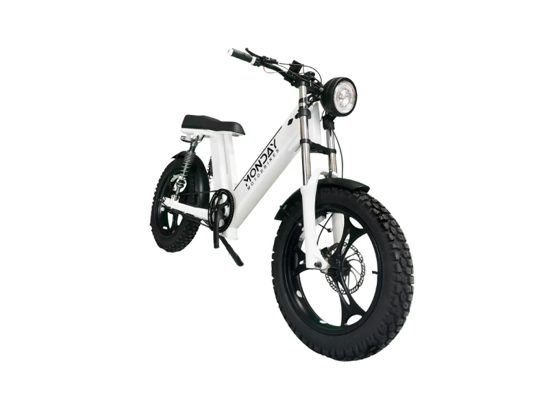 Gateway 750W Electric Bike