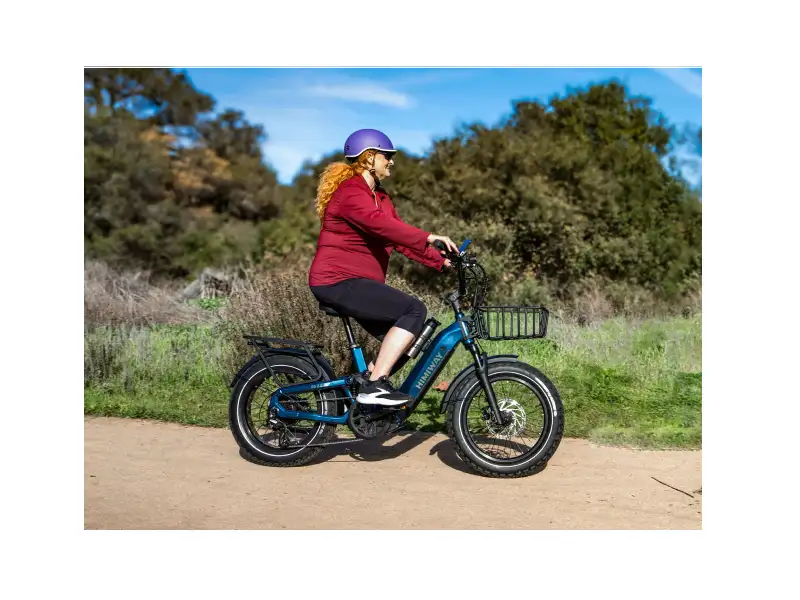 Himiway D5 2.0 20_ eBike