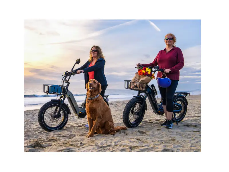 Himiway D5 2.0 20_ eBike