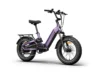 Himiway D5 2.0 20_ eBike