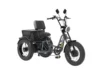 Meet One Tour Dual Motor Dual Battery Electric Trike