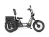 Meet One Tour Dual Motor Dual Battery Electric Trike