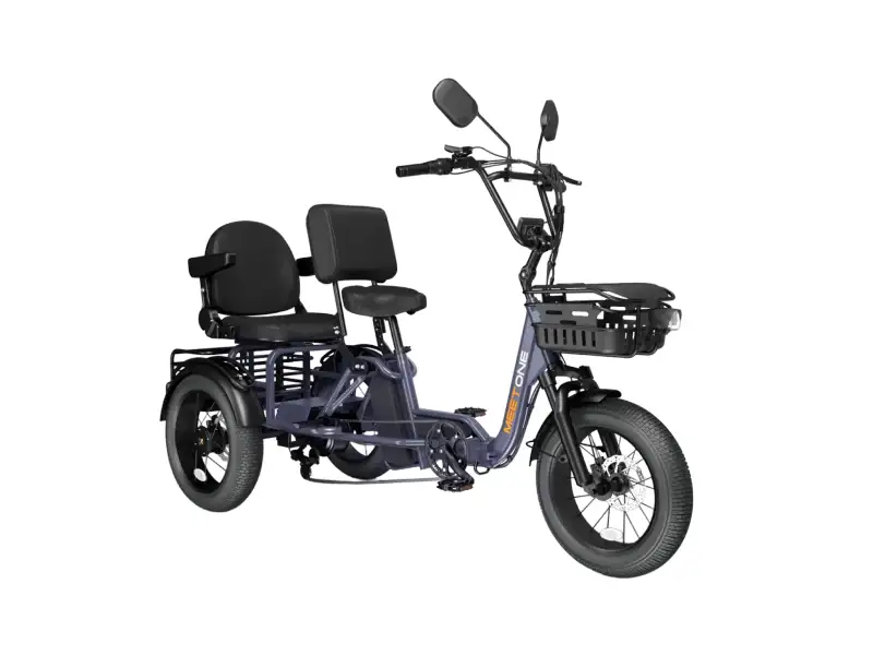 Pair Electric Trike
