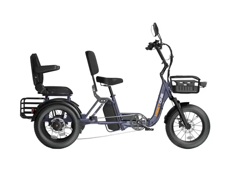 Pair Electric Trike