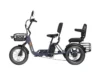 Pair Electric Trike