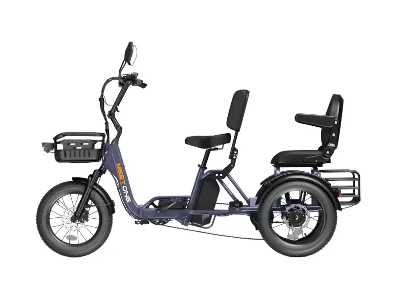 Pair Electric Trike