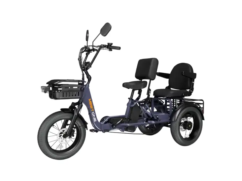 Pair Electric Trike