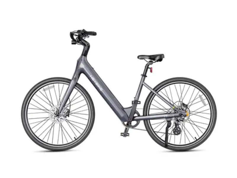 Venus Ebike01