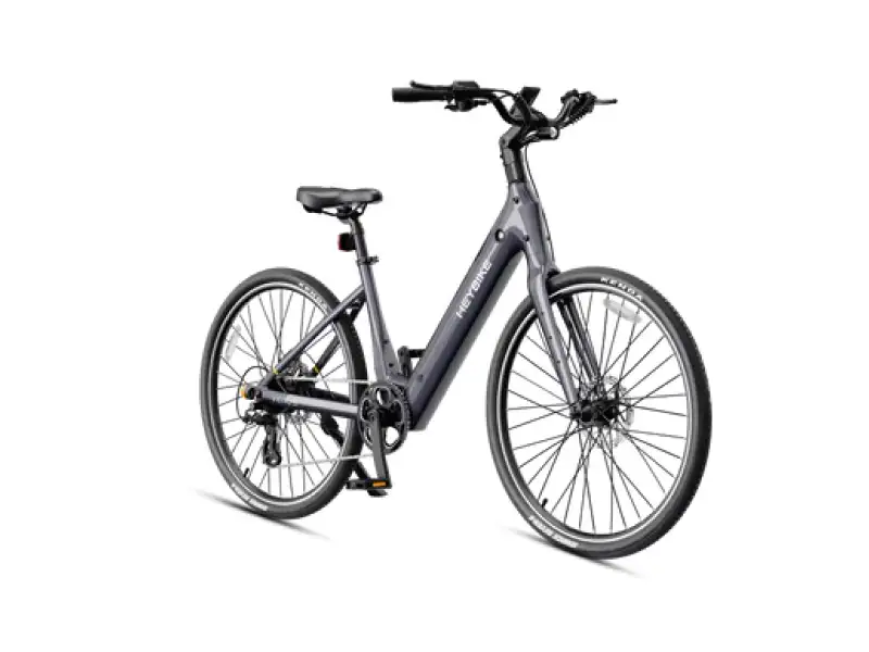 Venus Ebike01