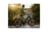 Hybrid ebike