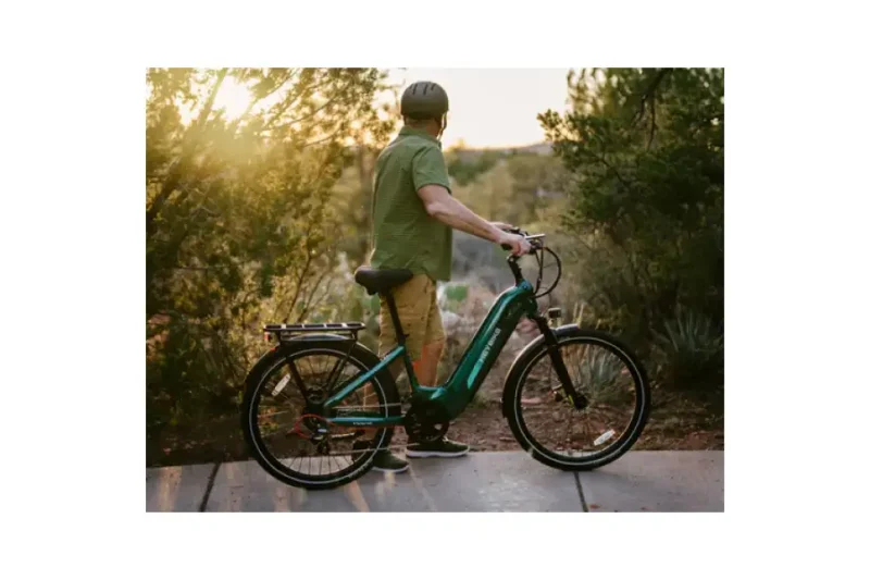 Hybrid ebike
