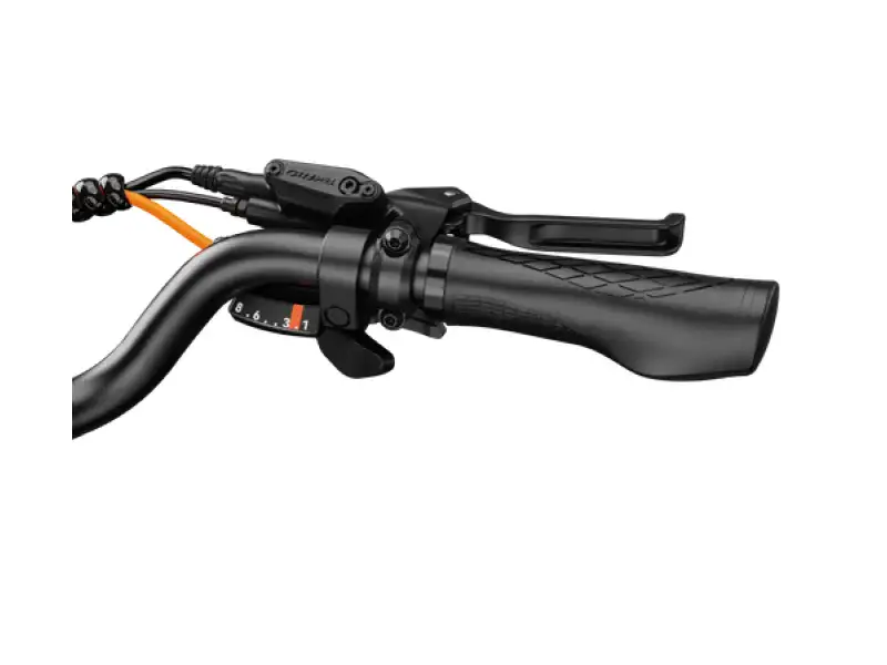 Hybrid ebike