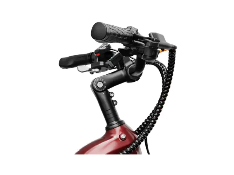 Hybrid ebike