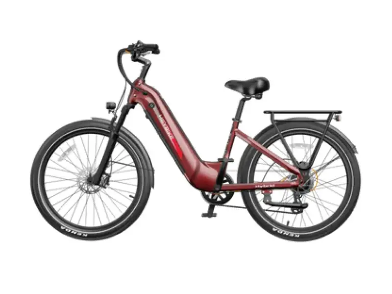 Hybrid ebike