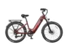 Hybrid ebike