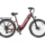 Hybrid ebike