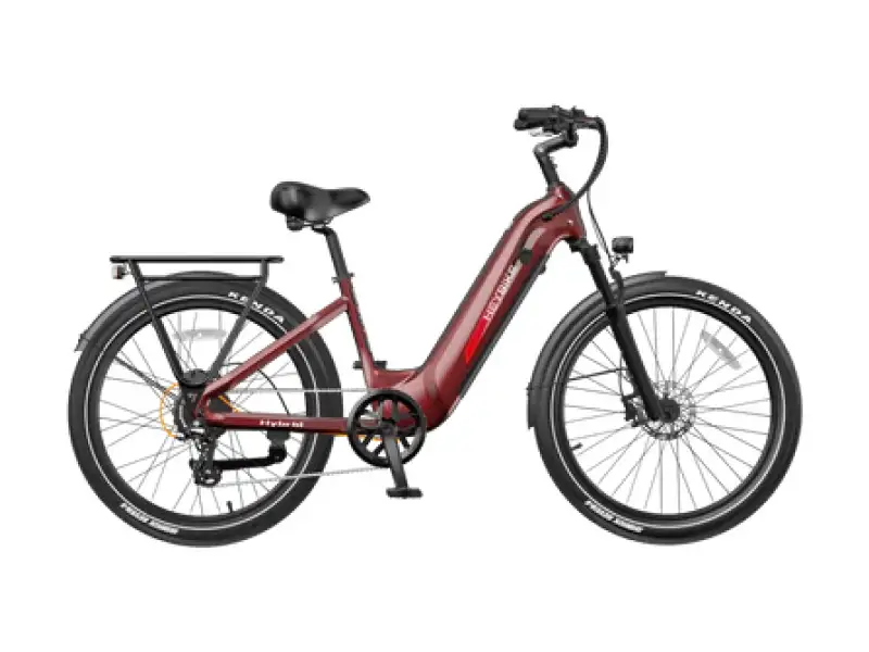 Hybrid ebike
