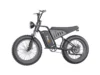 Freego S1 Cafe