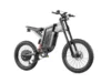 Freego X2 Dirt